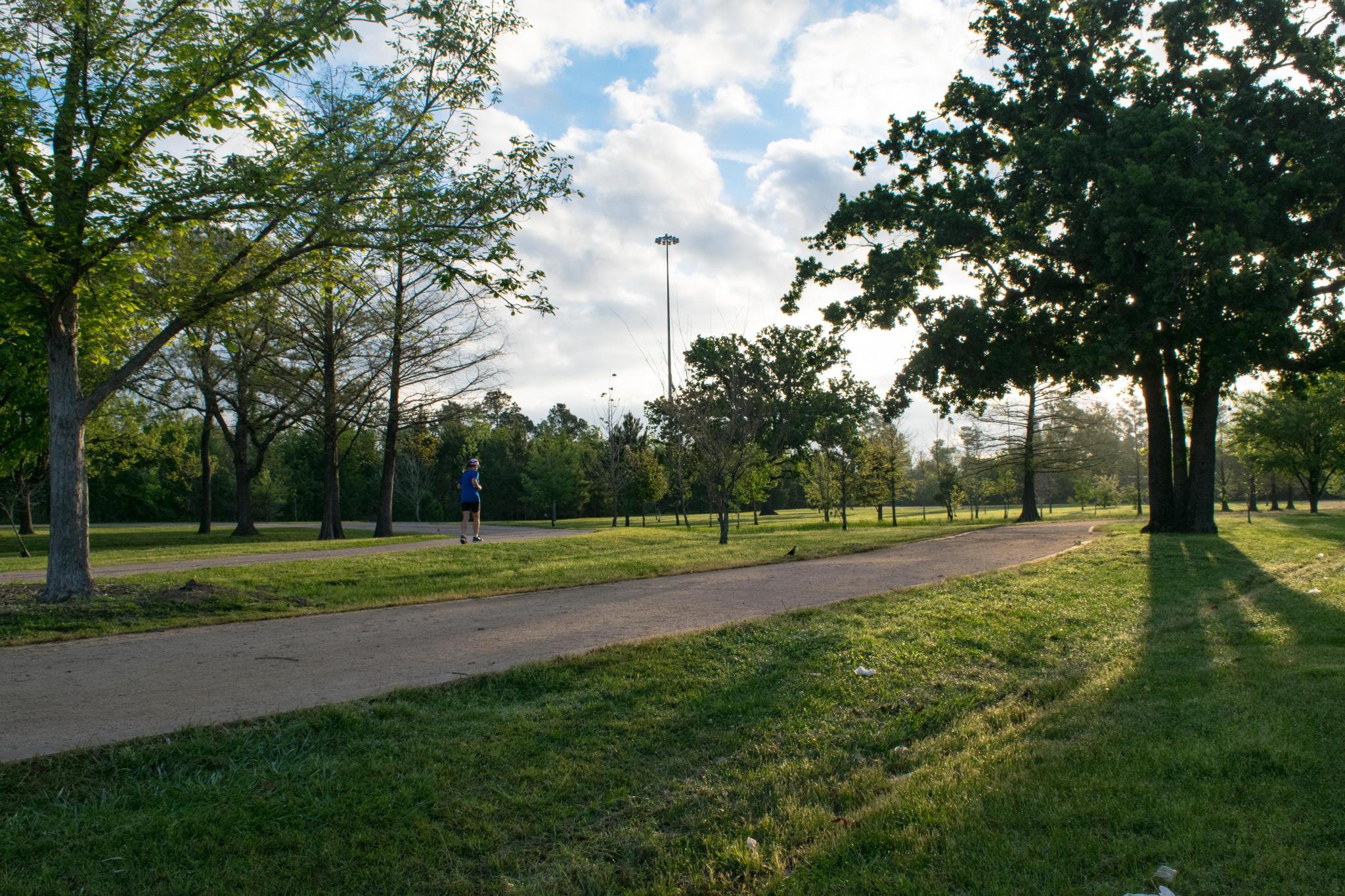 Runner on a tree-lined park path in Memorial Houston